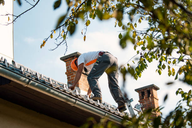 Best Metal Roofing Contractor  in Silverton, OH