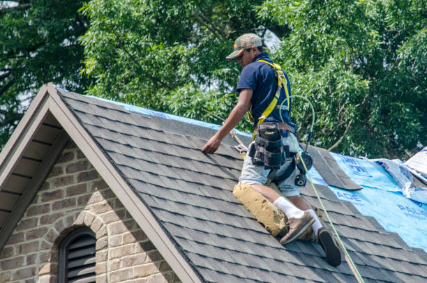 Best Roof Gutter Cleaning  in Silverton, OH